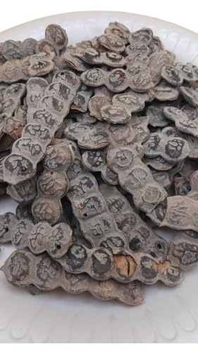 Nep Nep/Bagaruwa Acacias Feminine Wash – Natural Herbal Douche – 100% Organic Intimate Cleanser – Gentle & Refreshing – 50g