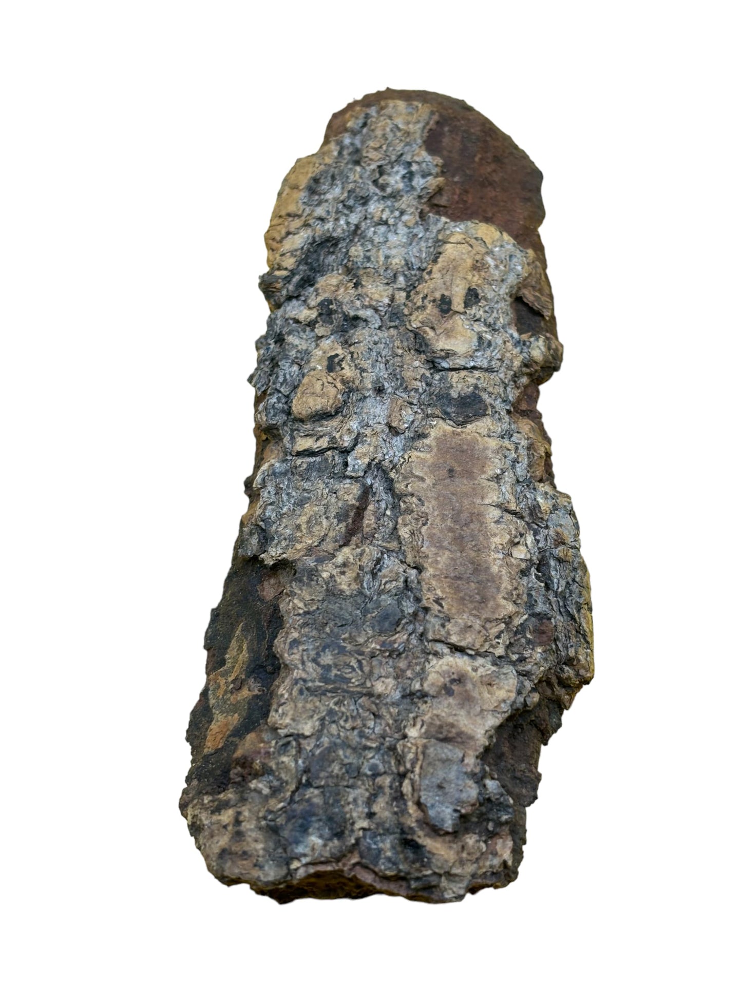 50 Grams IGI -Nla Tree Bark